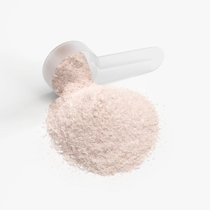 splashFX QUENCH Hydration Powder (Passion Fruit)