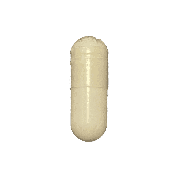 Saw Palmetto
